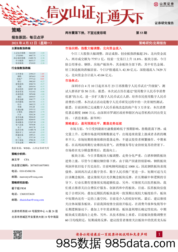 2021-04-13_策略报告_每日点评第53期：两市震荡下挫，不宜过度悲观_山西证券