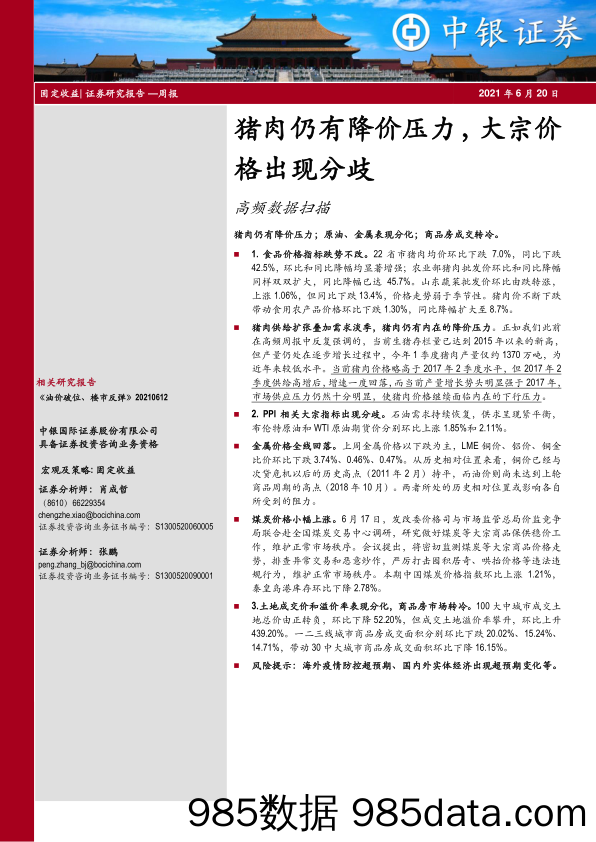 2021-06-22_策略报告_高频数据扫描：猪肉仍有降价压力，大宗价格出现分歧_中银国际证券