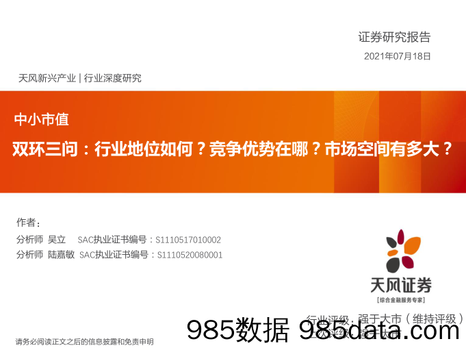 2021-07-20_策略报告_中小市值双环三问：行业地位如何？竞争优势在哪？市场空间有多大？_天风证券