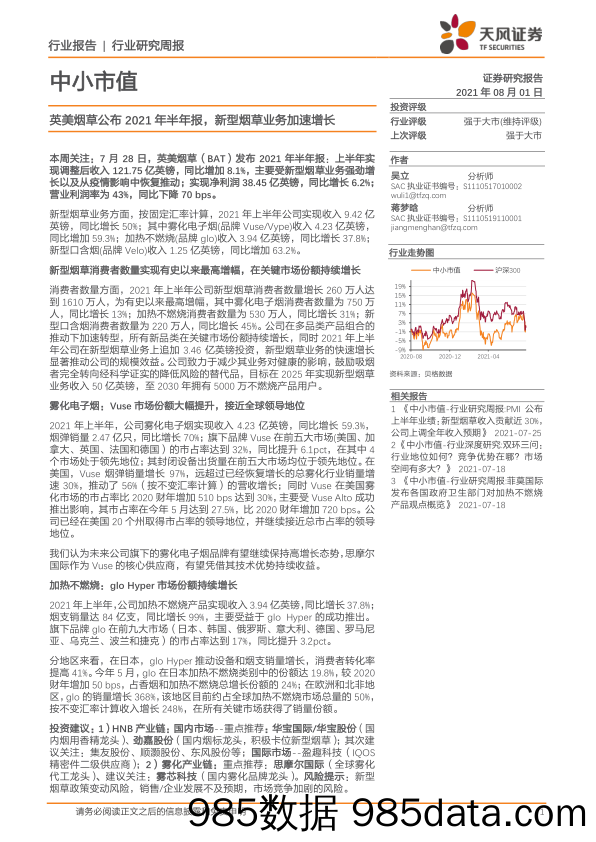 2021-08-03_策略报告_中小市值行业研究周报：英美烟草公布2021年半年报，新型烟草业务加速增长_天风证券