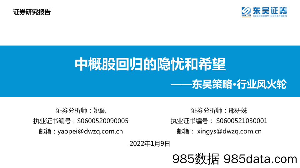 2022-01-10_策略报告_东吴策略·行业风火轮：中概股回归的隐忧和希望_东吴证券