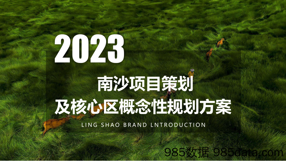 【文旅营销案例】2023城市文旅田园综合体项目策划及核心区概念性规划方案插图