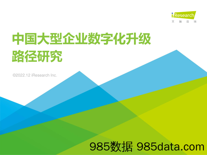 中国大型企业数字化升级路径研究_艾瑞