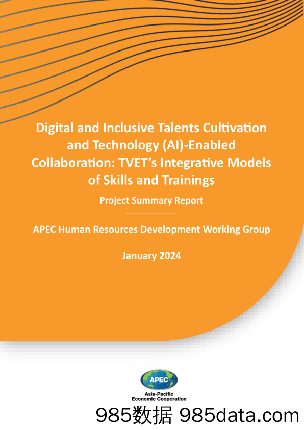 数字化、包容性的人才培养与技术（AI）赋能的合作：TVET的技能与培训一体化模式——项目总结报告-英