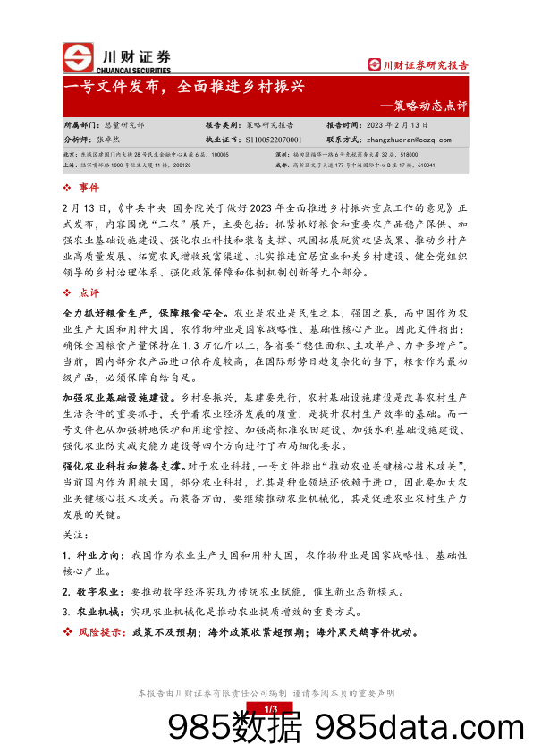 策略动态点评：一号文件发布，全面推进乡村振兴_川财证券