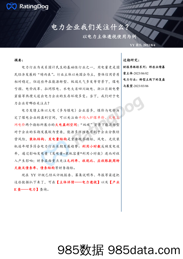 电力企业我们关注什么？：以电力主体透视使用为例_YY评级