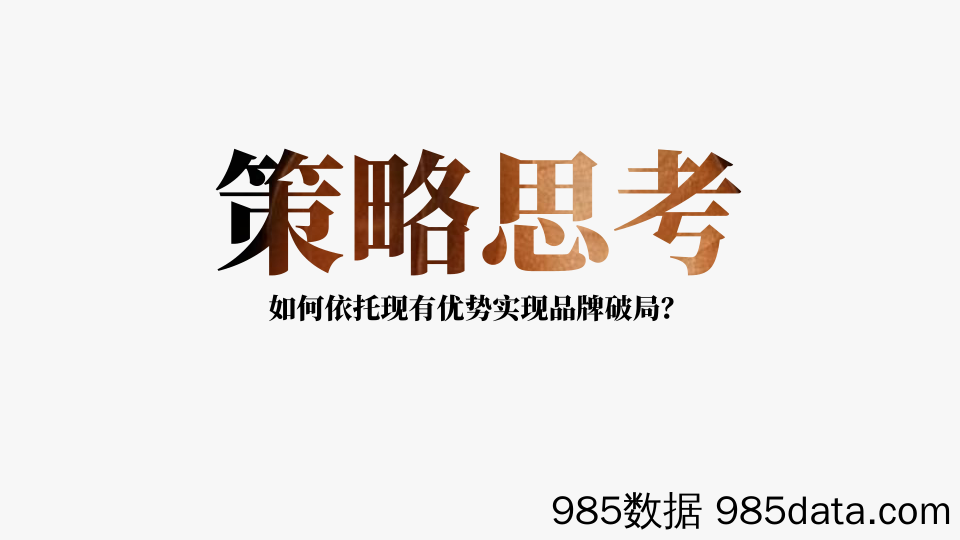 【品牌营销案例】2023床垫品牌山棕系列品牌策划打造全案插图5