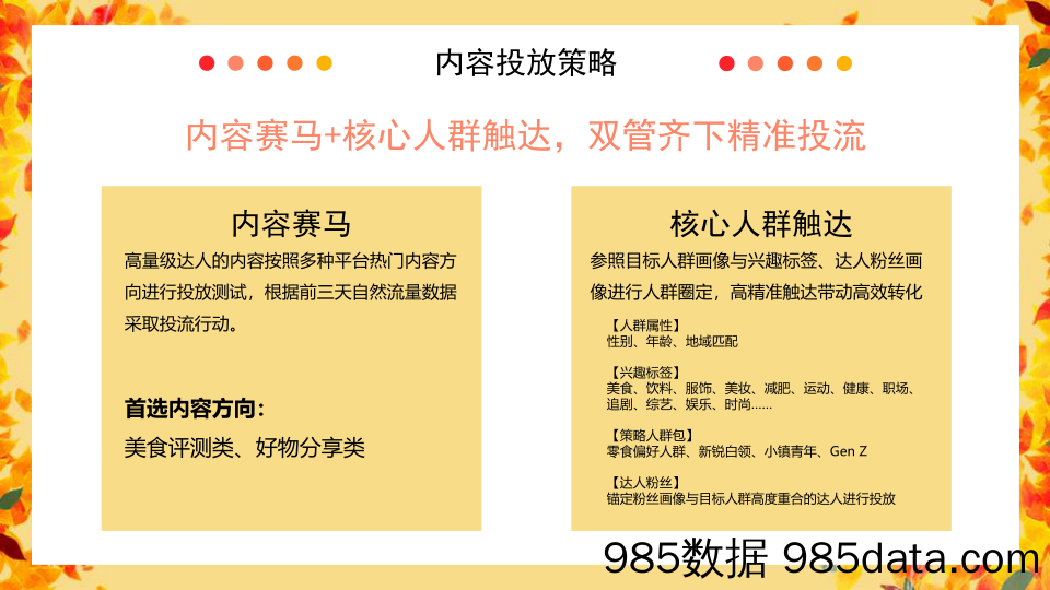 【食品饮料策划案例】零食品牌抖音达人投放规划插图5