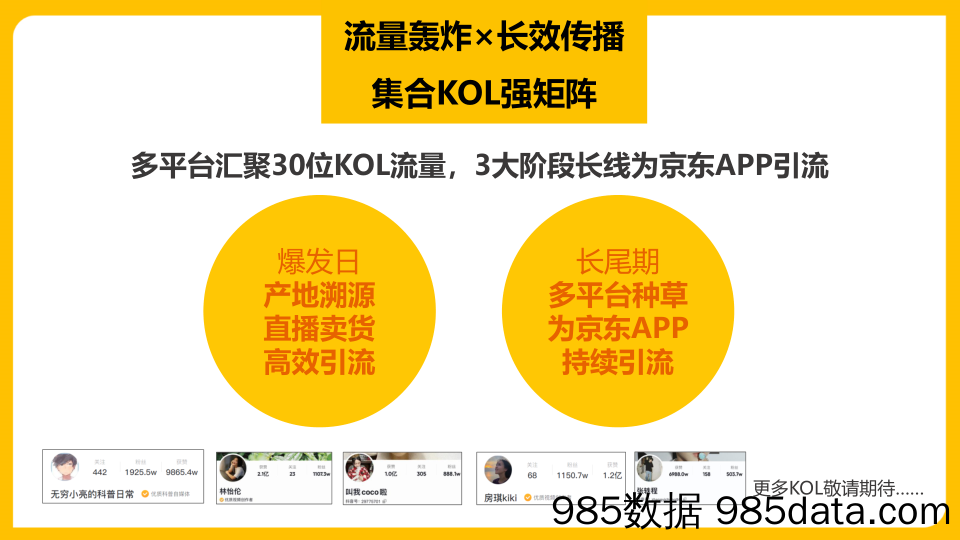 【食品饮料策划案例】饮料品牌 橙汁产品 京东大牌风暴营销策划案插图3