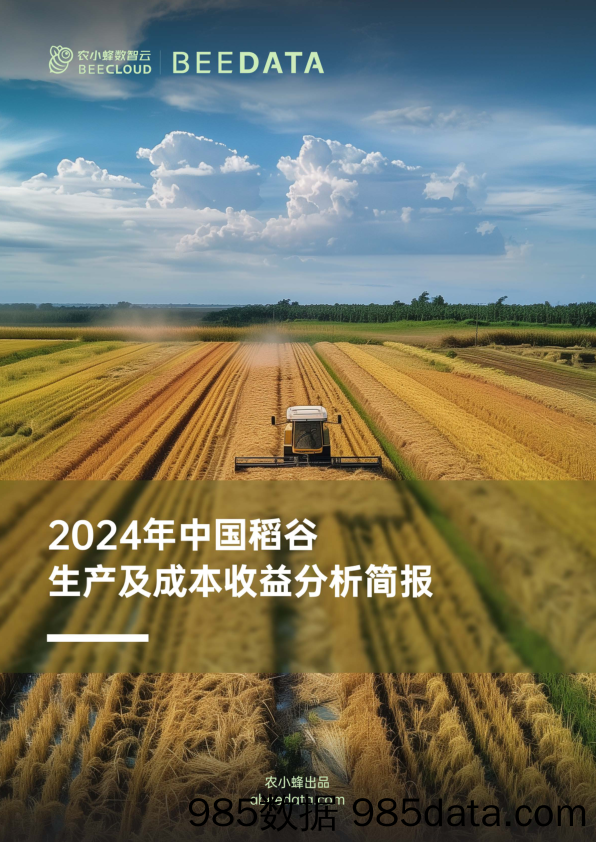 2024年中国稻谷生产及成本收益分析简报