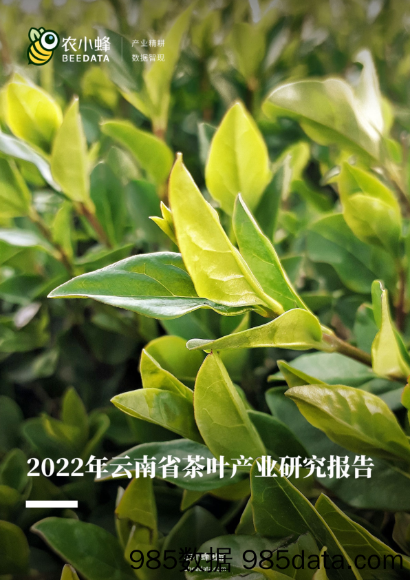 2022年云南省茶叶产业研究简报