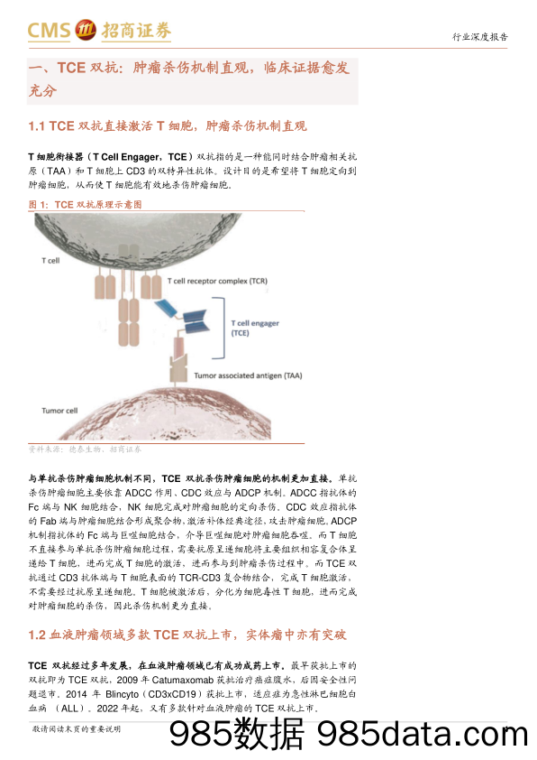 创新药系列报告(四)-TCE双抗行业深度：结构设计映射临床疗效，实体瘤适应症有所突破-240321-招商证券插图3