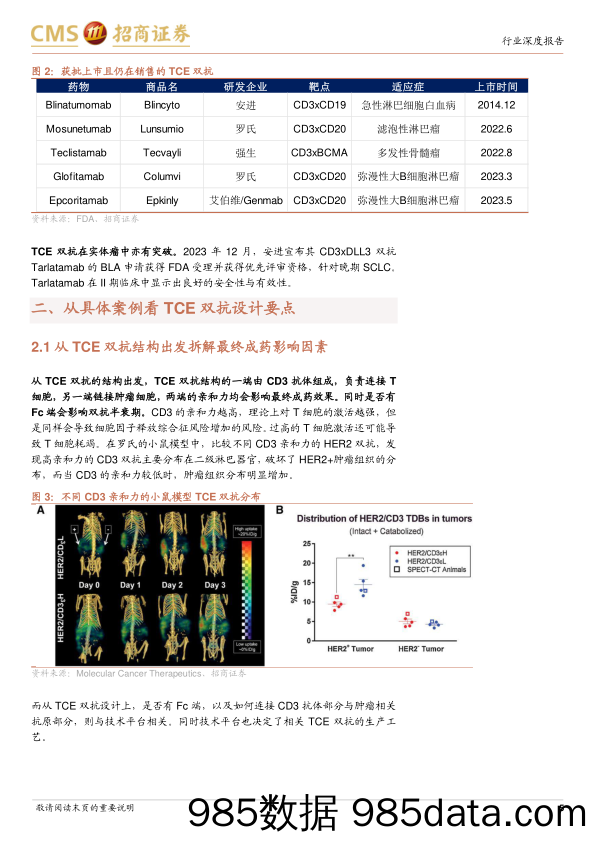 创新药系列报告(四)-TCE双抗行业深度：结构设计映射临床疗效，实体瘤适应症有所突破-240321-招商证券插图4