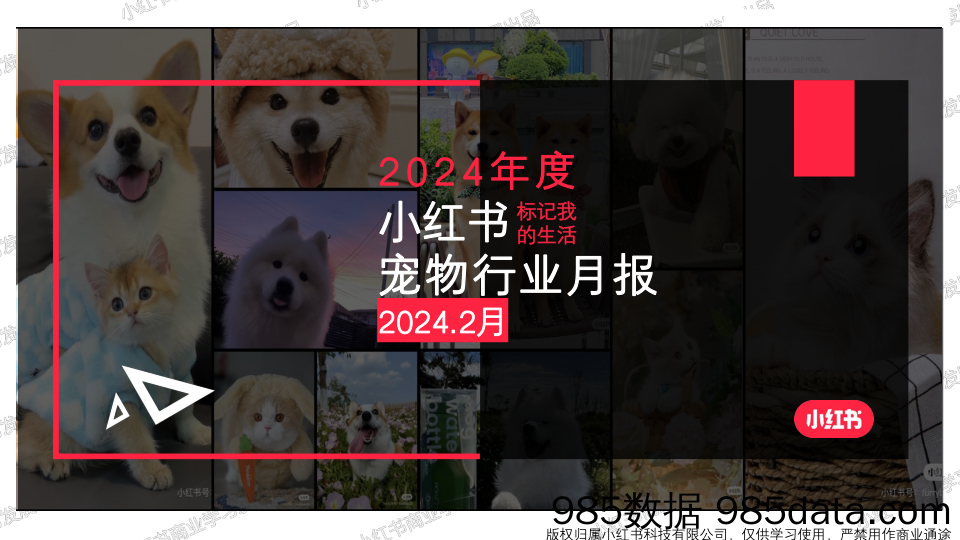 小红书2024年宠物行业月报-2月插图