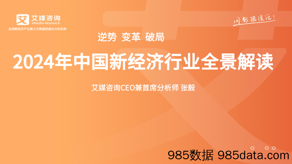 2024年中国新经济行业全景解读报告