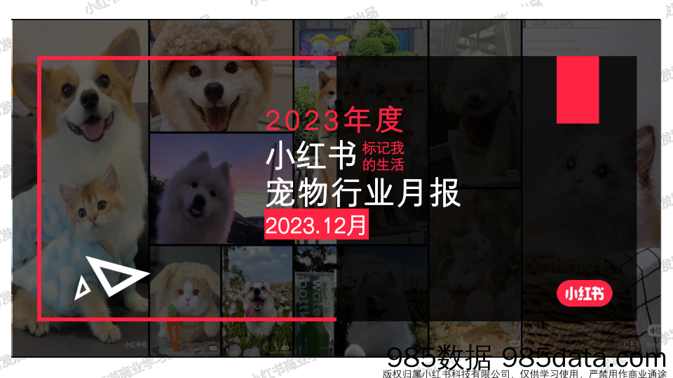 小红书2023年宠物行业月报-12月