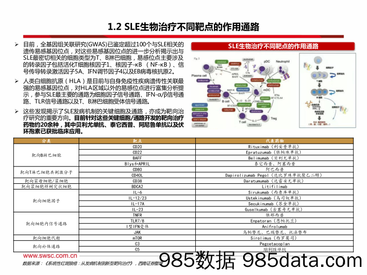 医药生物行业：系统性红斑狼疮蓝海市场，生物制剂脱颖而出-240423-西南证券插图5