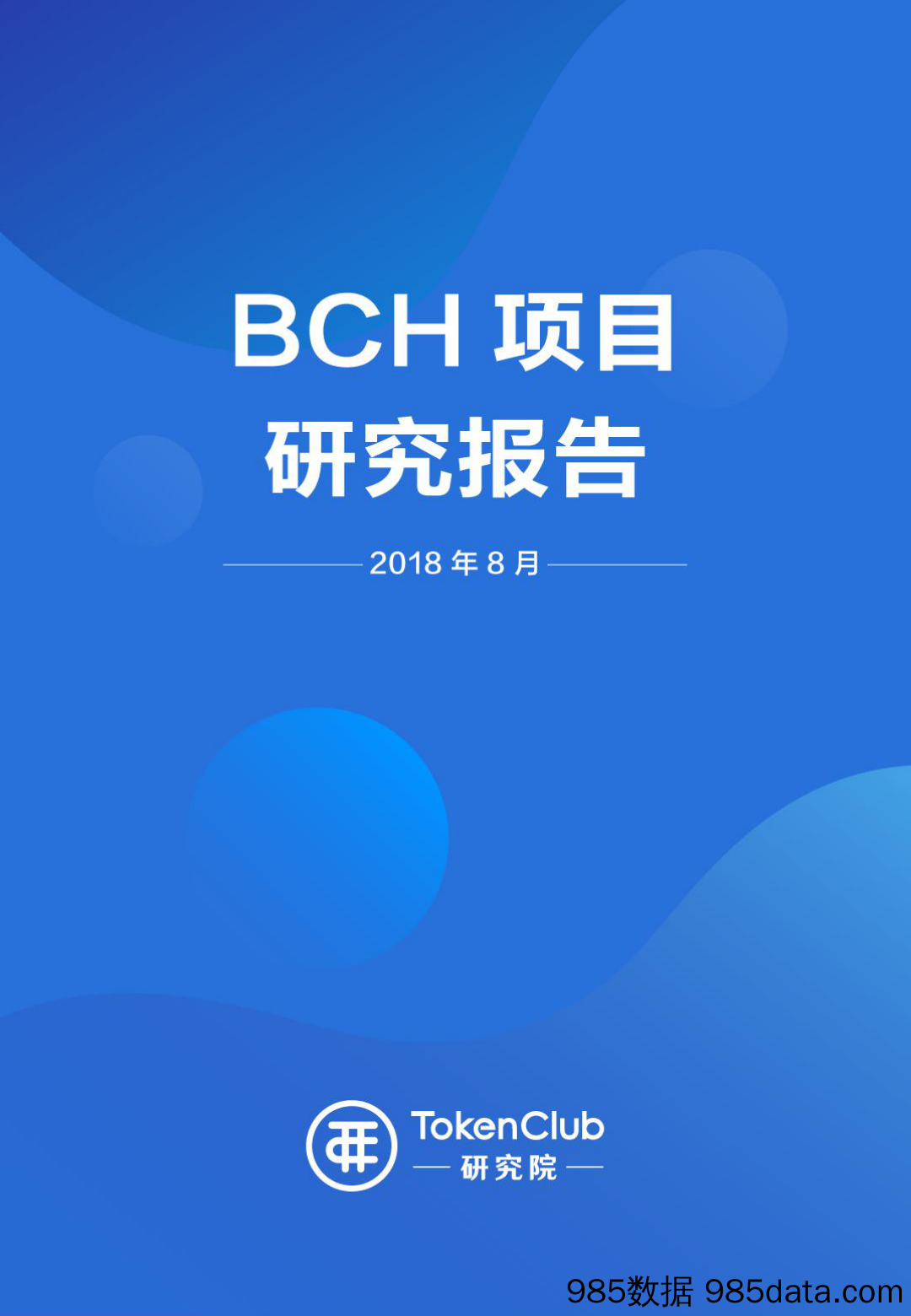 BCH项目研究报告_TokenClub 研究院