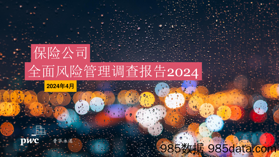 保险公司全面风险管理调查报告2024