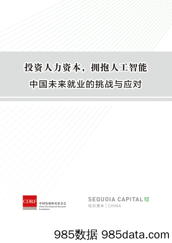 人工智能行业：投资人力资本，拥抱人工智能 中国未来就业的挑战与应对_红杉资本中国