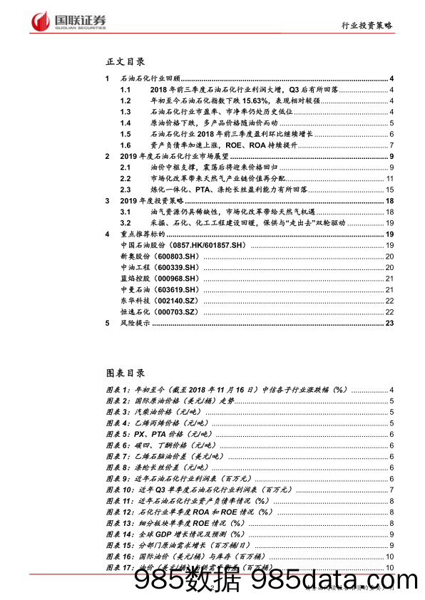 石油石化行业2019年度策略：资源稀缺保供为先，油气改革诞生机遇_国联证券插图1