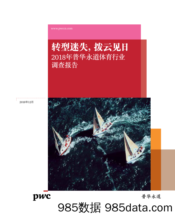 2018年普华永道体育行业调查报告：转型迷失，拨云见日_普华永道中天会计师事务所