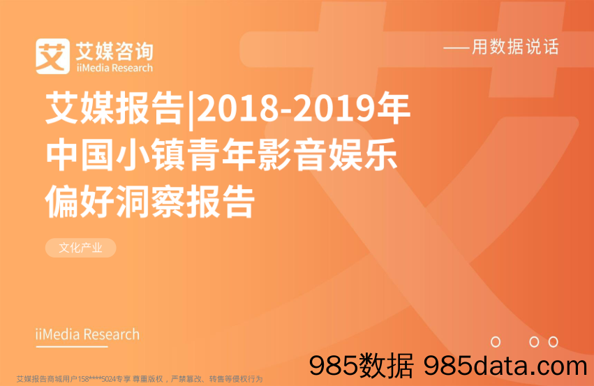 文化行业：2018-2019年中国小镇青年影音娱乐偏好洞察报告_艾媒咨询