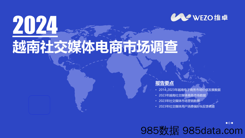 2024越南社交媒体电商市场调查