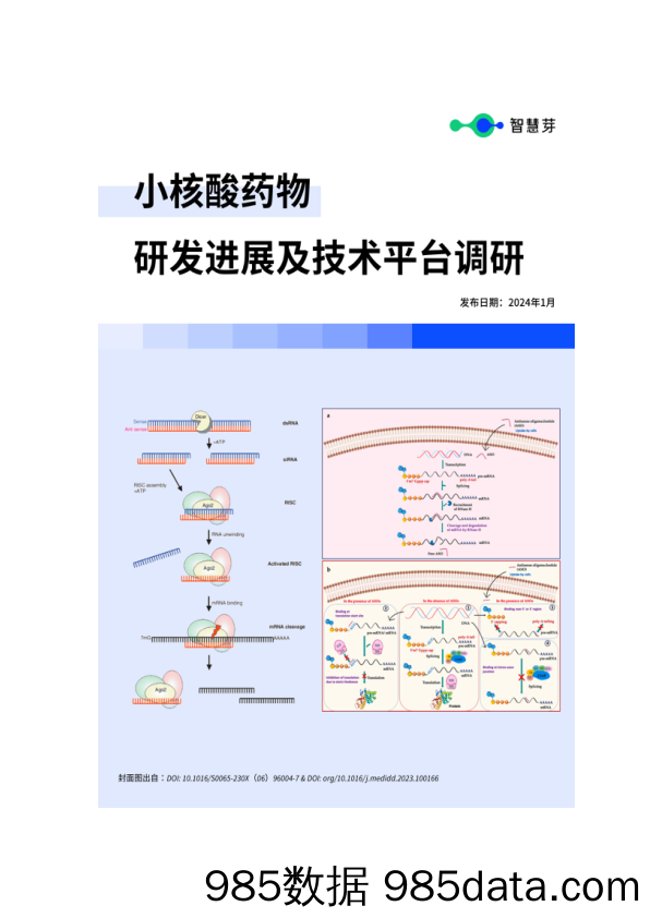 小核酸药物研发进展及技术平台调研