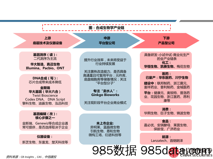 合成生物学系列跟踪：转型企业百花齐放，落地政策有望出台-中信建投-2024.5.13插图4