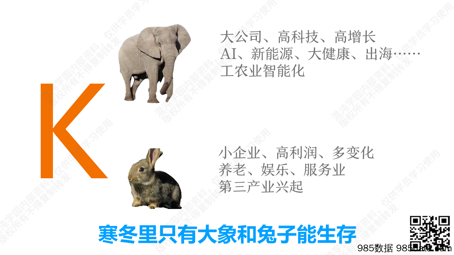 混沌学园PPT-超级个体计划：如何把经验变成产品，把专业变事业-2024插图5