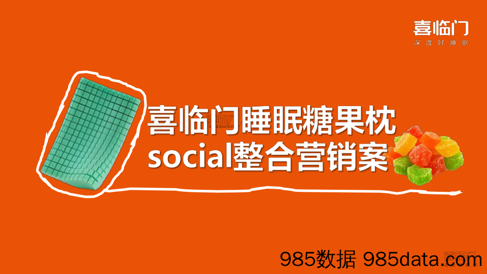 【家居家电营销案例】睡眠枕品牌整合营销案插图