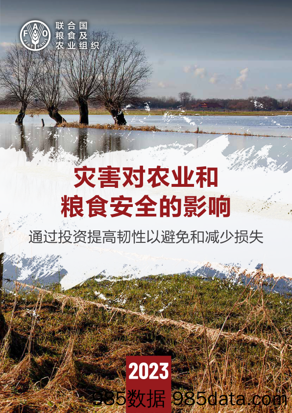 2023年灾害对农业和粮食安全的影响-联合国粮食及农业组织-2024插图