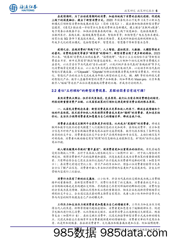 探索新型消费趋势：技术革新、市场多样化与政策引导下的消费者行为变迁-240529-海通证券插图5