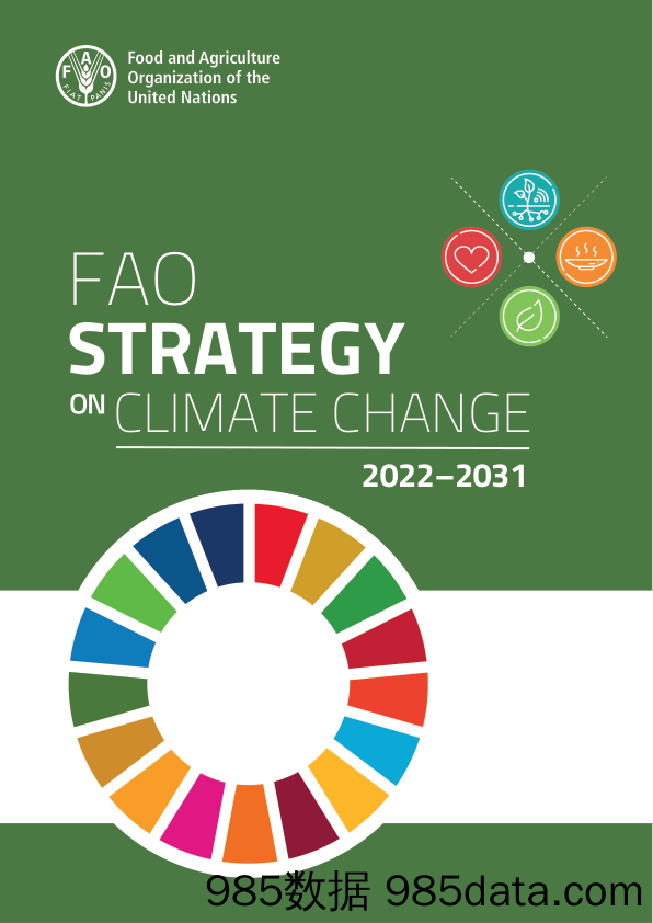 《联合国粮农组织2022–2031年气候变化战略》英文版