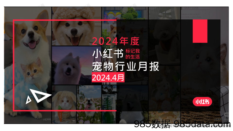 小红书2024年宠物行业4月月报插图