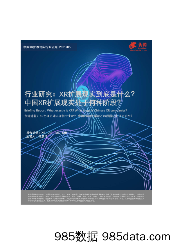 中国XR扩展现实行业研究：XR扩展现实到底是什么？中国XR扩展现实处于何种阶段？_头豹研究院