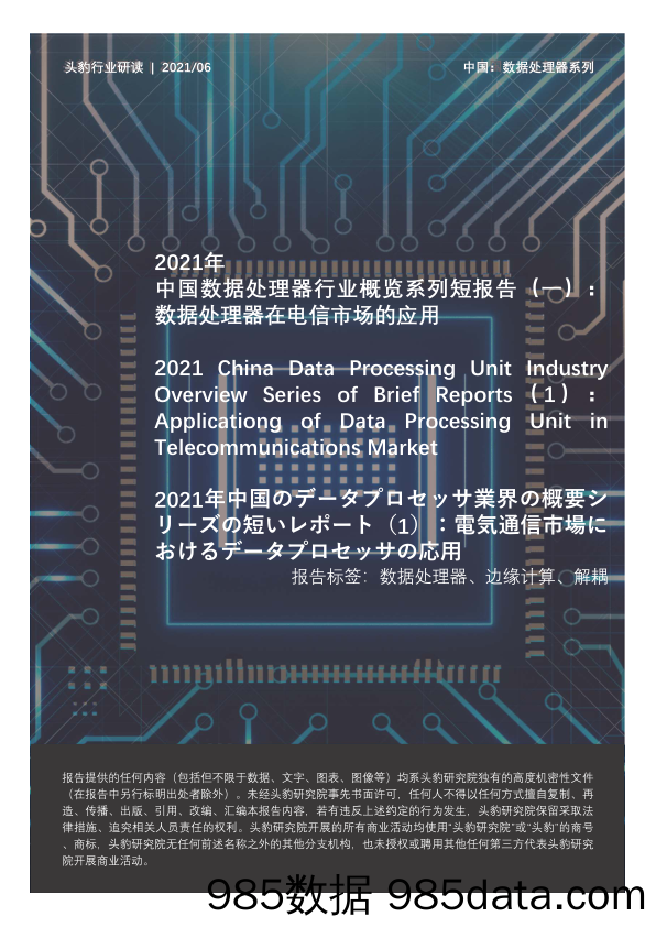 2021年中国数据处理器行业概览系列短报告（一）：数据处理器在电信市场的应用_头豹研究院