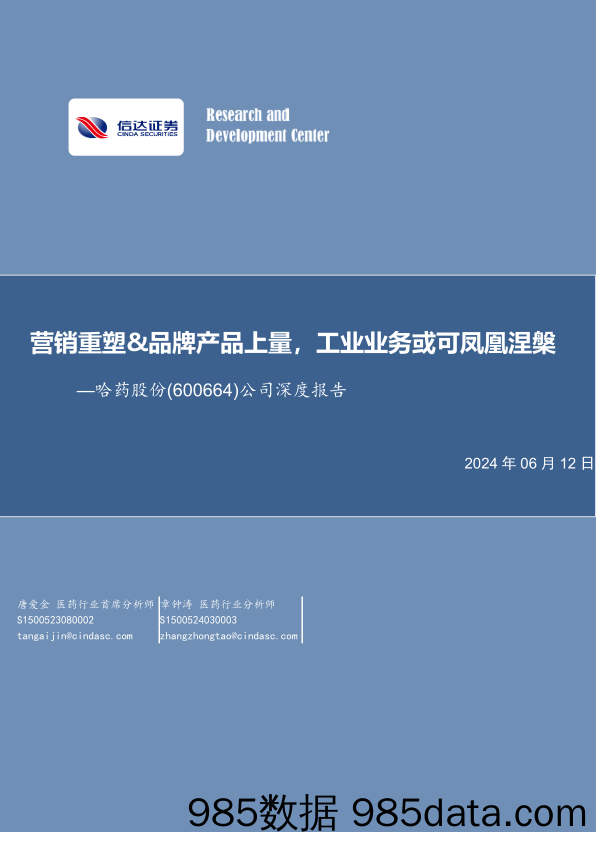 哈药股份(600664)公司深度报告：营销重塑%26品牌产品上量，工业业务或可凤凰涅槃-240612-信达证券