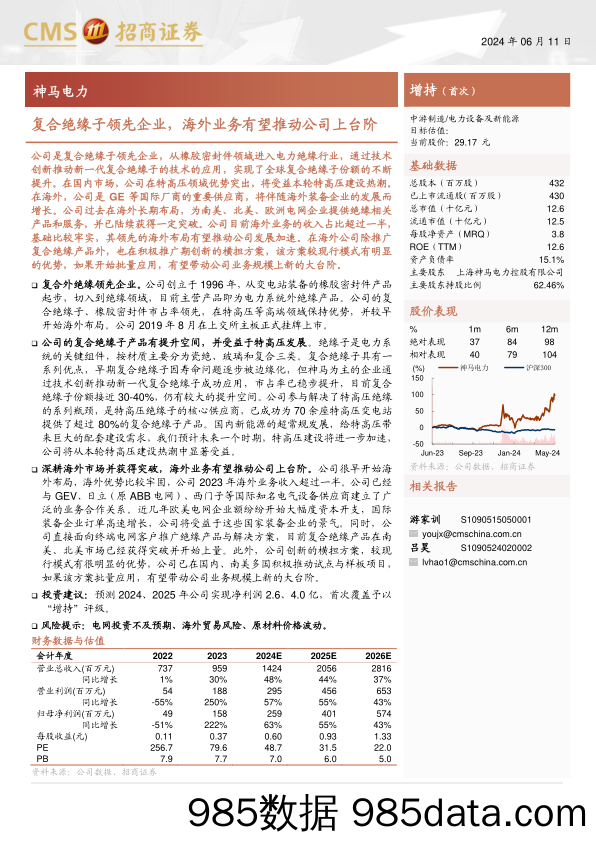 神马电力(603530)复合绝缘子领先企业，海外业务有望推动公司上台阶-240611-招商证券