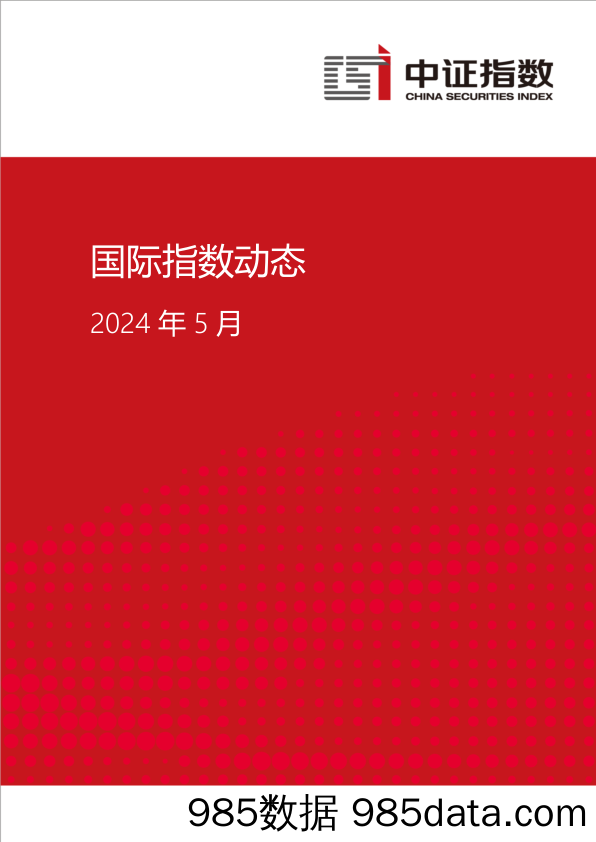 国际指数动态2024 年5月