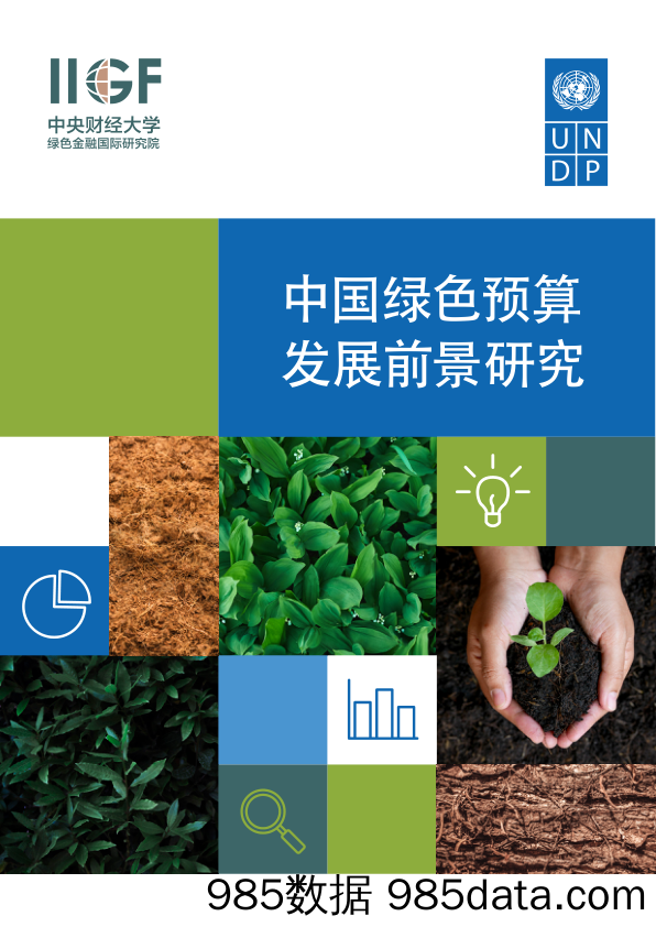 中国绿色预算发展前景研究-中央财经大学&UNDP-2024.5