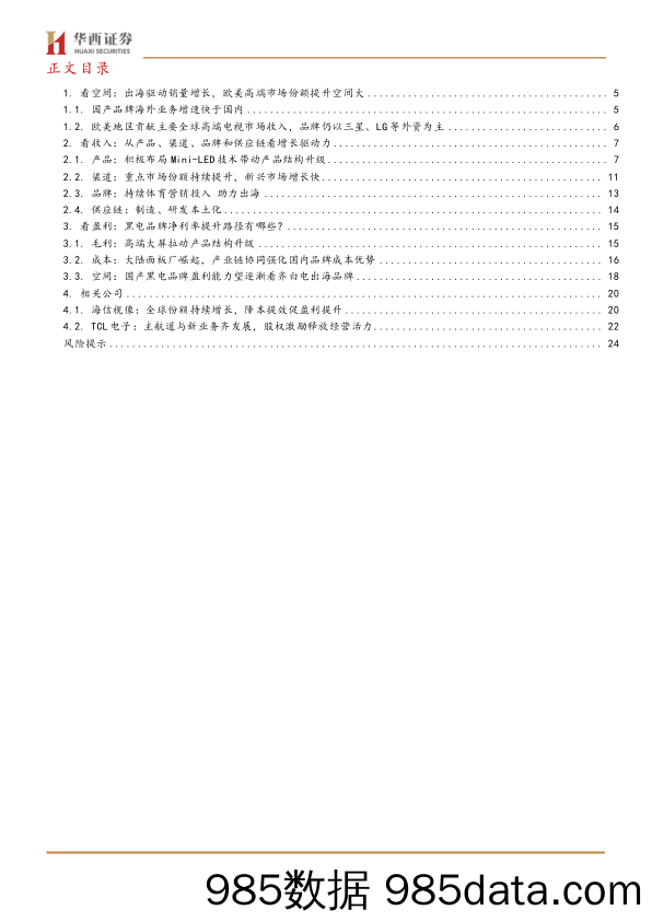 家电行业黑电系列深度二：国产品牌出海加速-240606-华西证券插图2