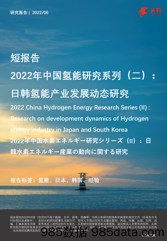 2022年中国氢能研究系列（二）：日韩氢能产业发展动态研究_头豹研究院