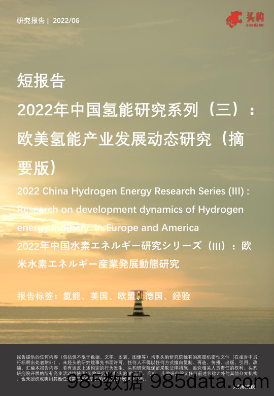 2022年中国氢能研究系列（三）：欧美氢能产业发展动态研究（摘要版）_头豹研究院