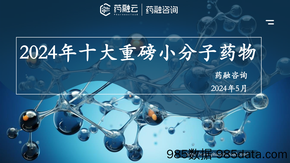 2024年十大重磅小分子药物-药融云-2024