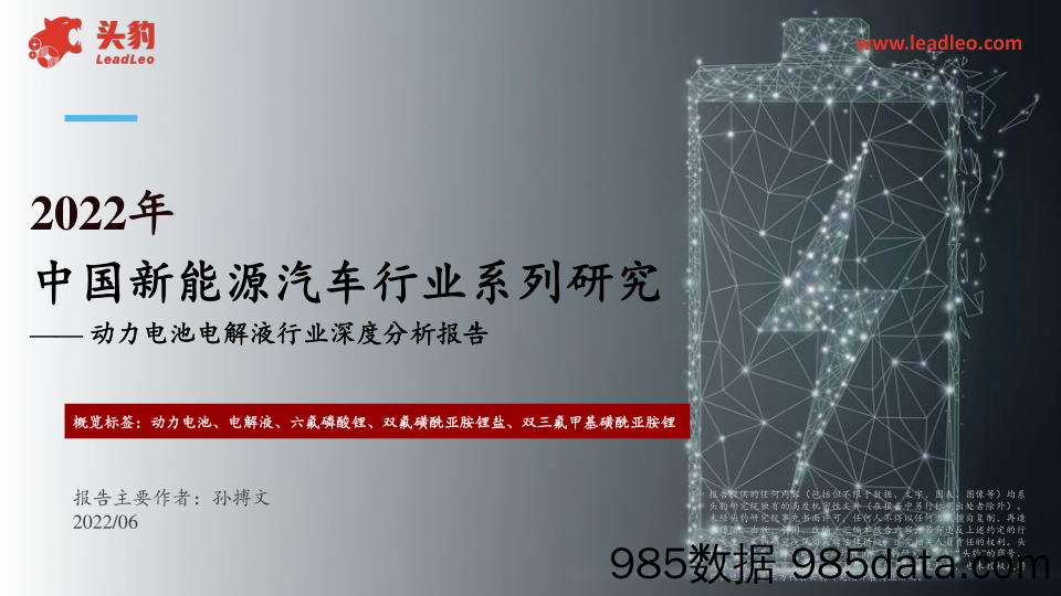 2022年中国新能源汽车行业系列研究：动力电池电解液行业深度分析报告_头豹研究院