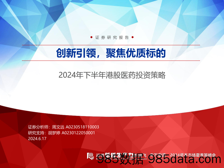 2024年下半年港股医药行业投资策略：创新引领，聚焦优质标的-240617-申万宏源