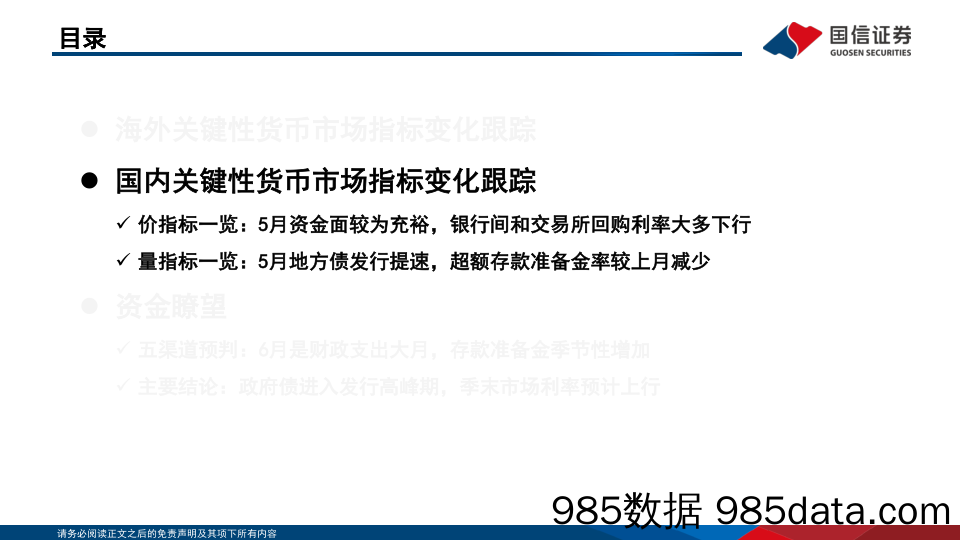 投资策略·固定收益2024年第六期：资金观察，货币瞭望，政府债进入发行高峰期，季末市场利率预计上行-240620-国信证券插图5