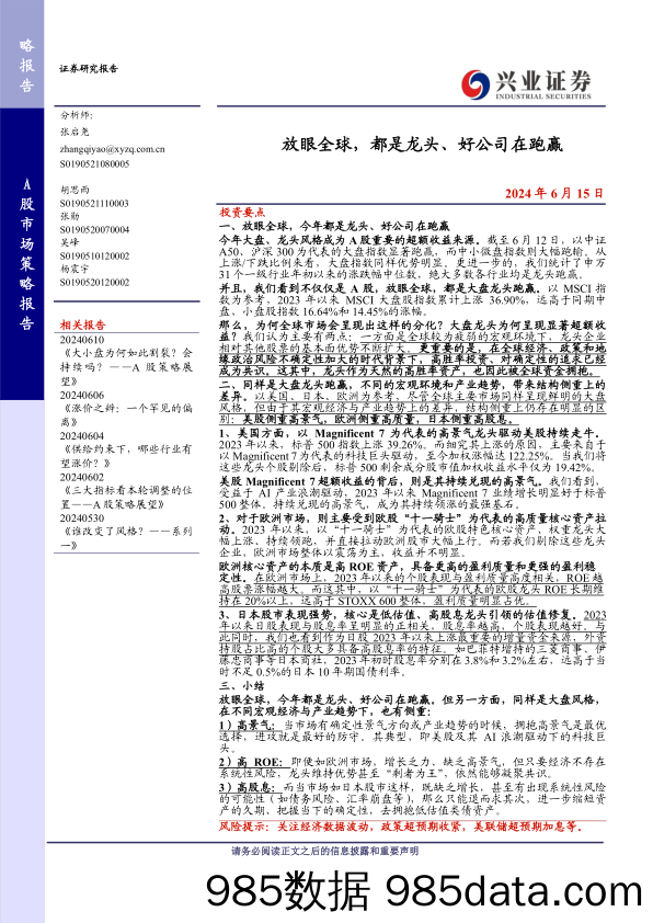 放眼全球，都是龙头、好公司在跑赢-240615-兴业证券插图